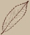 Feuille de chtaignier