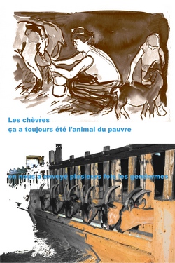 Didier Christophe, planche de Les fromages des Plateaux, 2005.